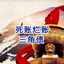 莱西要债公司
